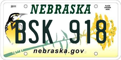 NE license plate BSK918