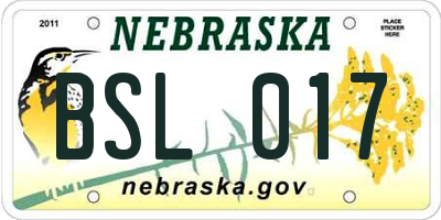 NE license plate BSL017