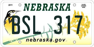 NE license plate BSL317
