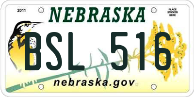 NE license plate BSL516