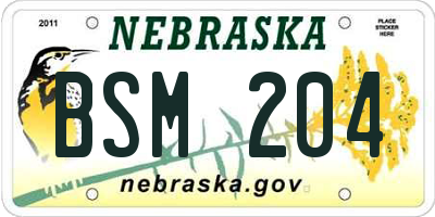 NE license plate BSM204