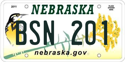 NE license plate BSN201