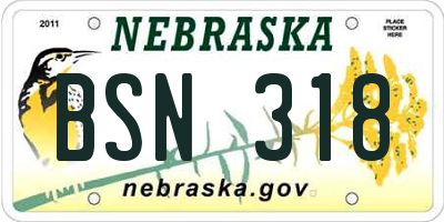 NE license plate BSN318