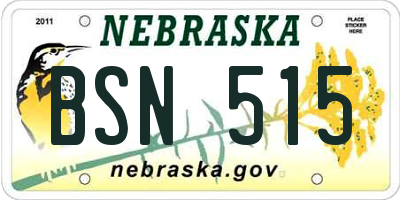 NE license plate BSN515