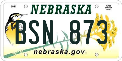 NE license plate BSN873