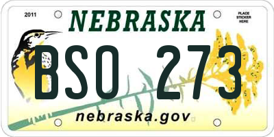 NE license plate BSO273