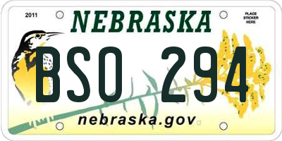 NE license plate BSO294