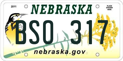 NE license plate BSO317