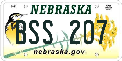 NE license plate BSS207