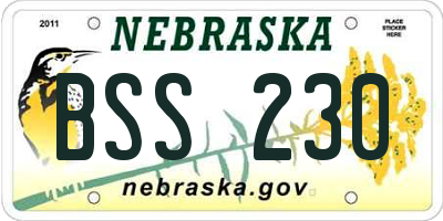 NE license plate BSS230