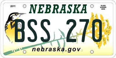 NE license plate BSS270