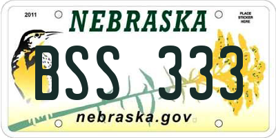 NE license plate BSS333