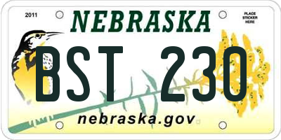 NE license plate BST230