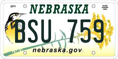 NE license plate BSU759