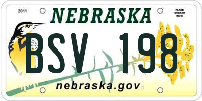 NE license plate BSV198