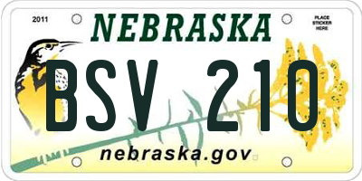 NE license plate BSV210