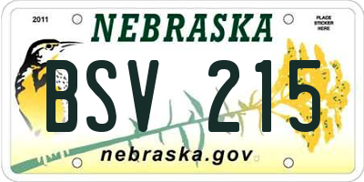 NE license plate BSV215