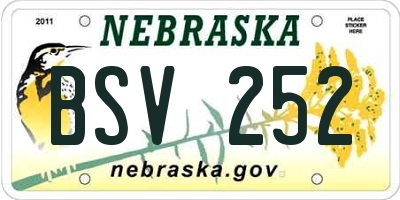 NE license plate BSV252