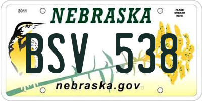 NE license plate BSV538