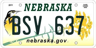 NE license plate BSV637