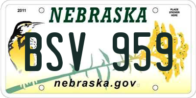 NE license plate BSV959