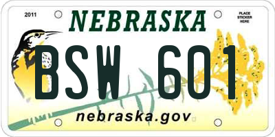 NE license plate BSW601