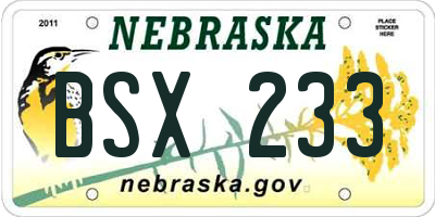 NE license plate BSX233