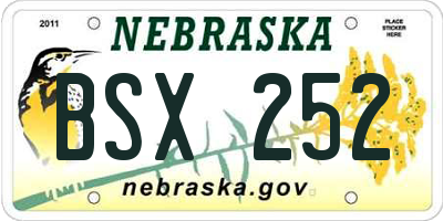 NE license plate BSX252