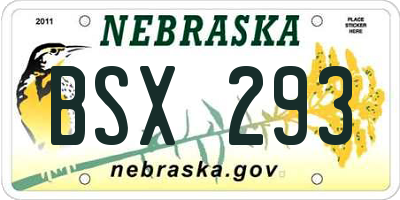 NE license plate BSX293