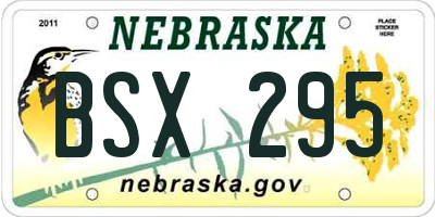 NE license plate BSX295