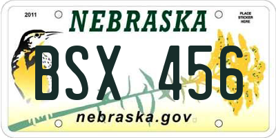 NE license plate BSX456