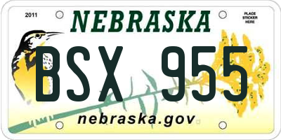 NE license plate BSX955