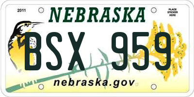 NE license plate BSX959