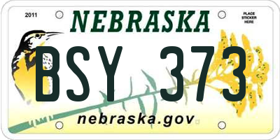 NE license plate BSY373