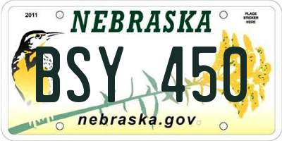 NE license plate BSY450