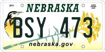 NE license plate BSY473