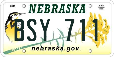 NE license plate BSY711