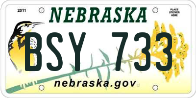 NE license plate BSY733