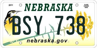 NE license plate BSY738