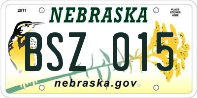 NE license plate BSZ015