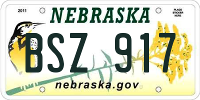 NE license plate BSZ917