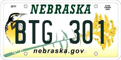 NE license plate BTG301