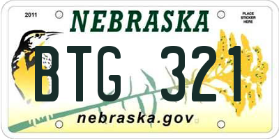 NE license plate BTG321