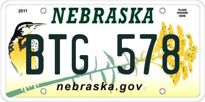 NE license plate BTG578