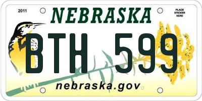 NE license plate BTH599