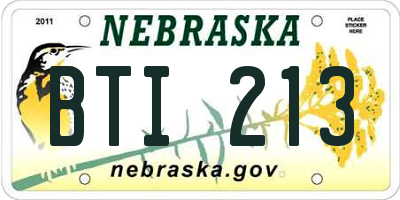NE license plate BTI213