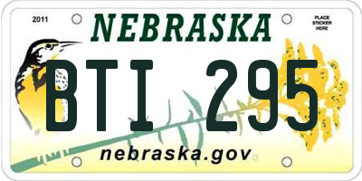 NE license plate BTI295