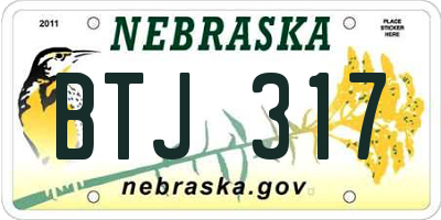 NE license plate BTJ317