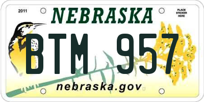 NE license plate BTM957