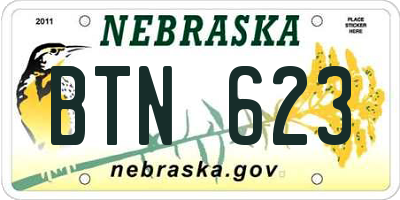 NE license plate BTN623